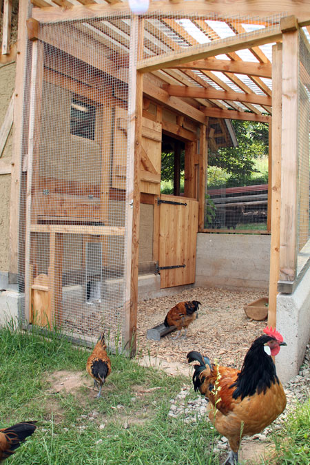 Kaltscharraum Voliere für Hühner